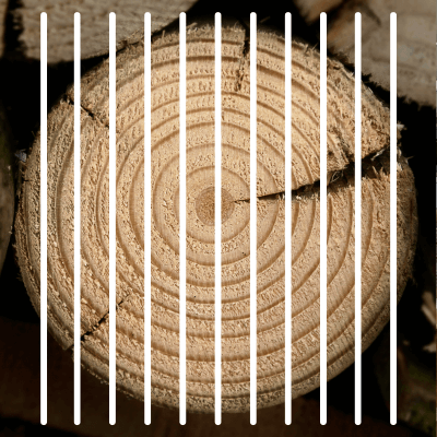 Plain sawn wood Plain sawn wood
