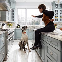 Blue gray kitchen with great dane and homeowner