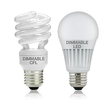 CFL and LED Light Bulbs