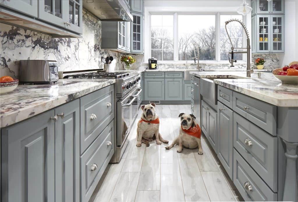 This kitchen is bulldog-approved! CliqStudios Decorative cabinets in Blue-gray. This kitchen is bulldog-approved! CliqStudios Decorative cabinets in Blue-gray.
