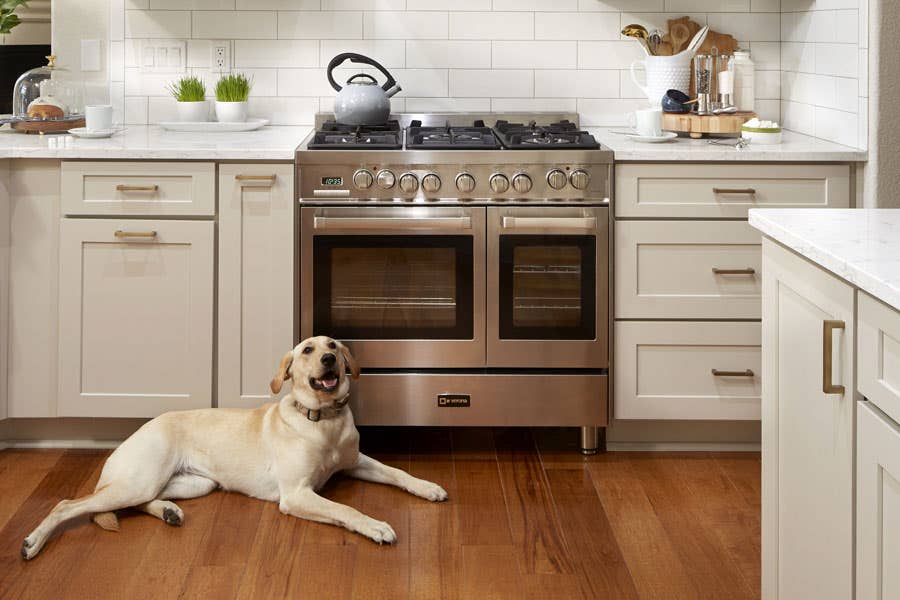 Taupe painted base cabinets with gold hardware, stainless range in the center, and a dog laying on the floor