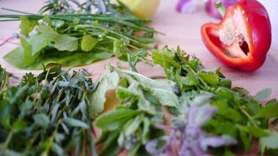 Top 5 Herbs To Grow in your Kitchen Top 5 Herbs To Grow in your Kitchen